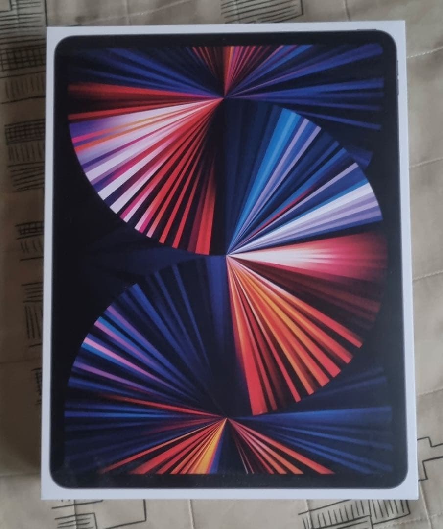 iPad Pro 第5世代 12.9 Apple pencil+純正ケース