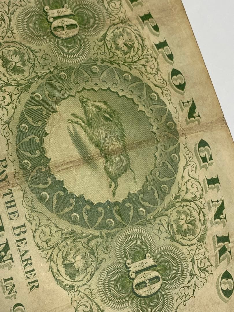 裏猪１０円、本物、綺麗、古銭、紙幣、お札