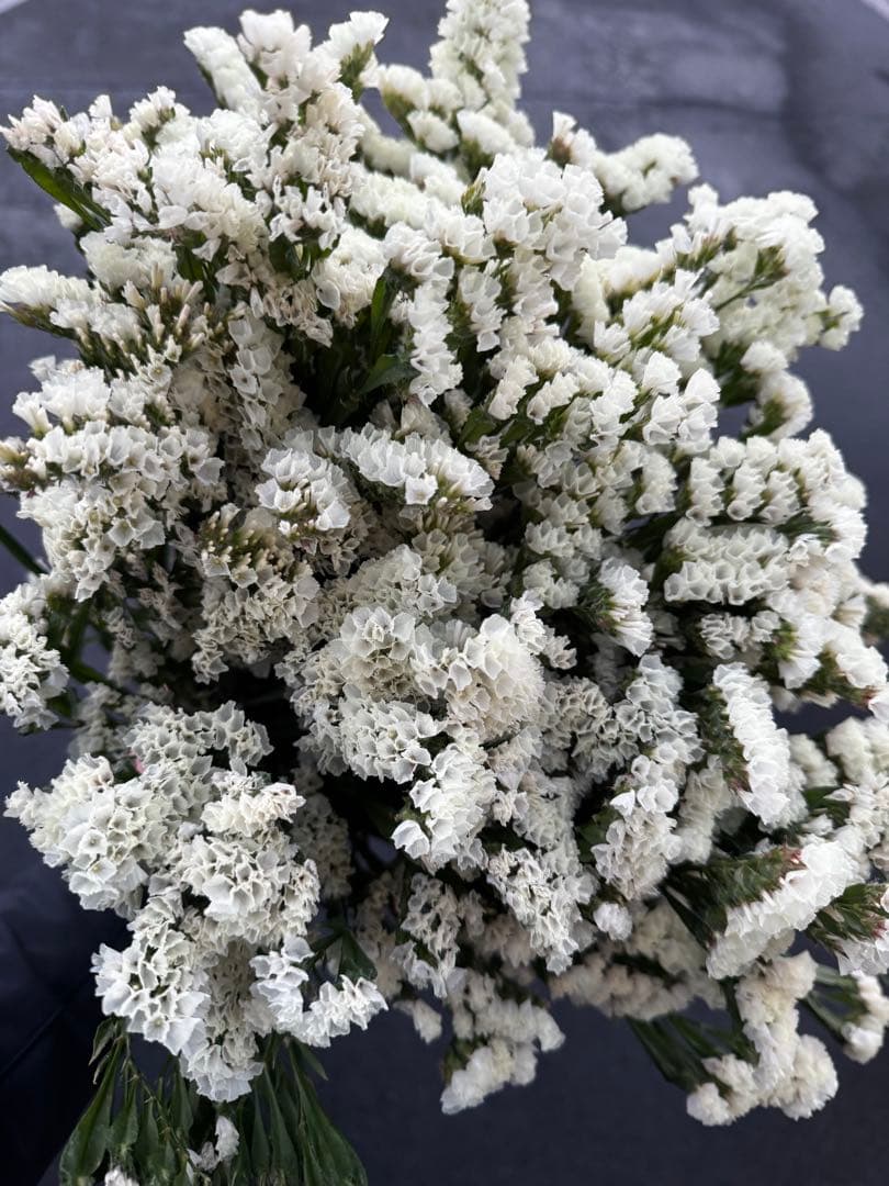 ❤️アトリエ＊リトルジェム❤️様 リクエスト 3点 まとめ商品