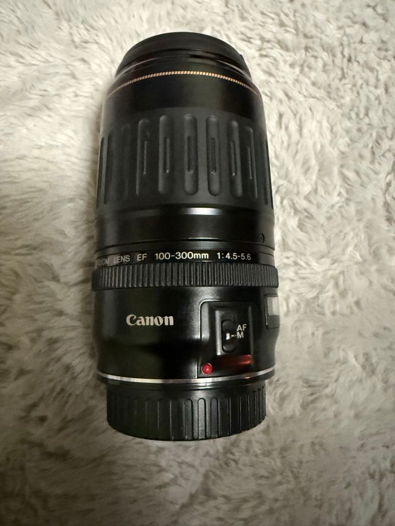 Canon 一眼レフカメラ EOS40D 望遠レンズ付き ストロボ付き カバン付