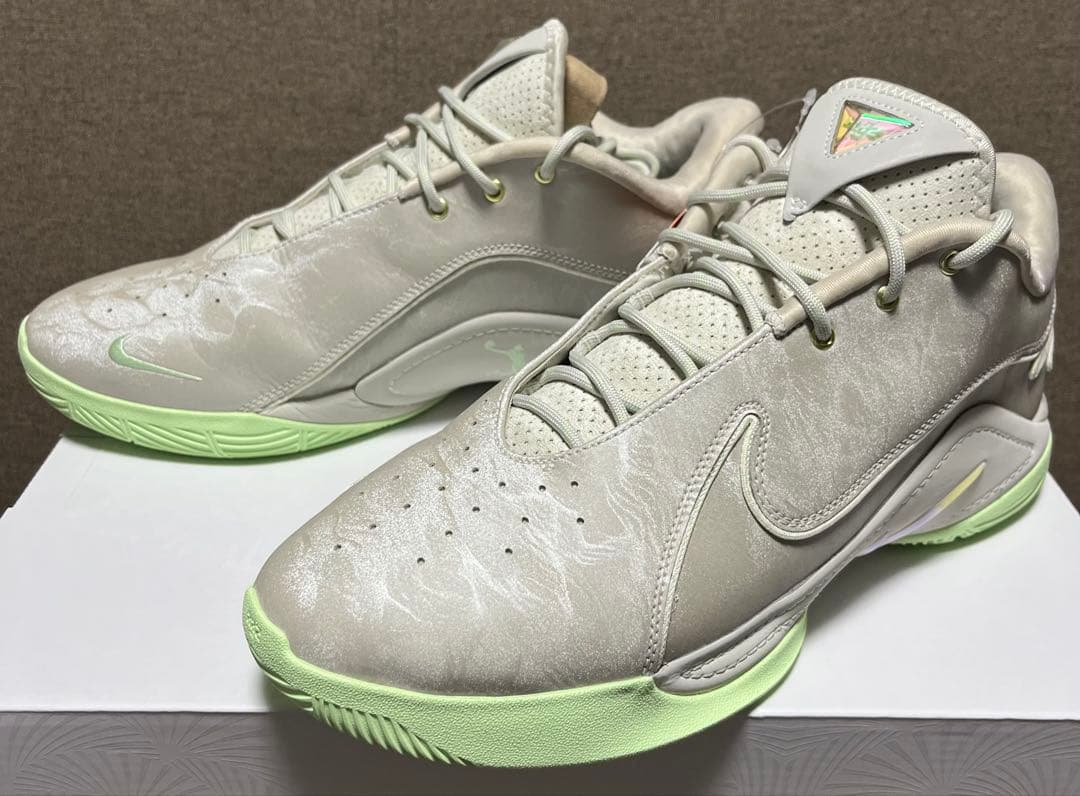 NIKE LEBRON 22 EP ナイキ レブロン 30cm 箱付き