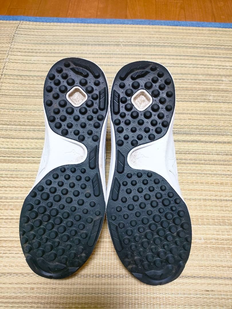 ミズノプロ　クッションレボプロトレーナー（27㌢）