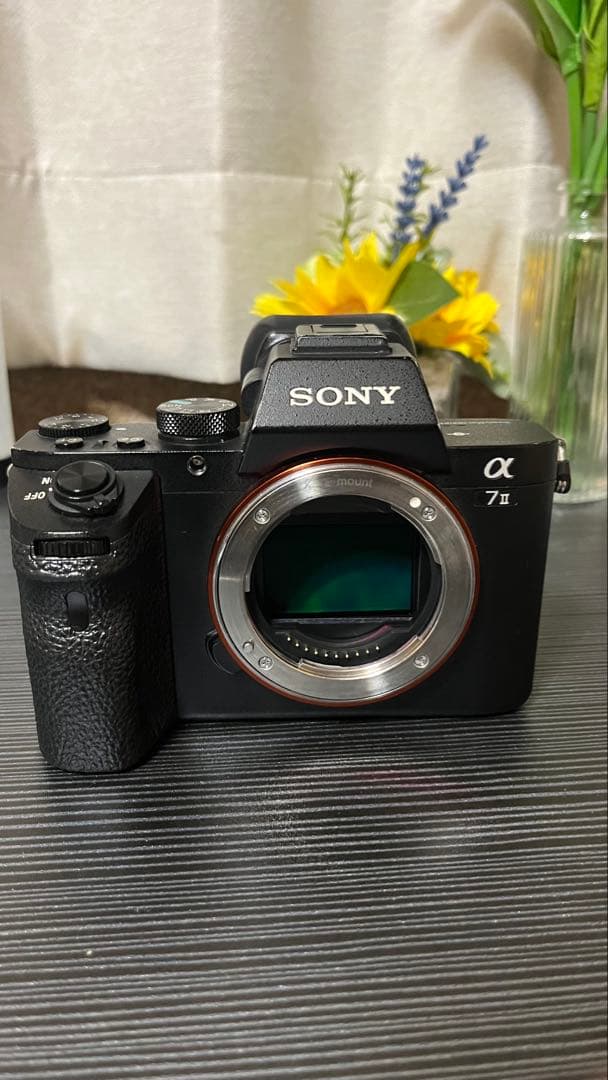 υ*様 SONY α7 II ミラーレスカメラ 本体と付属品