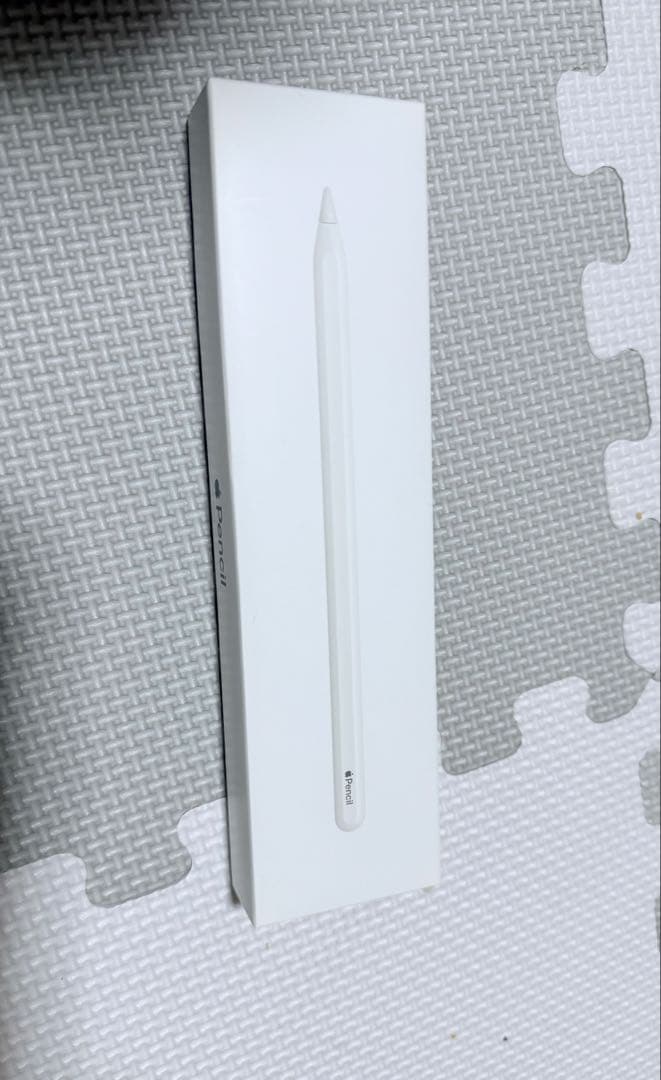 iPadアクセサリー APPLE PENCIL (2nd Generation)