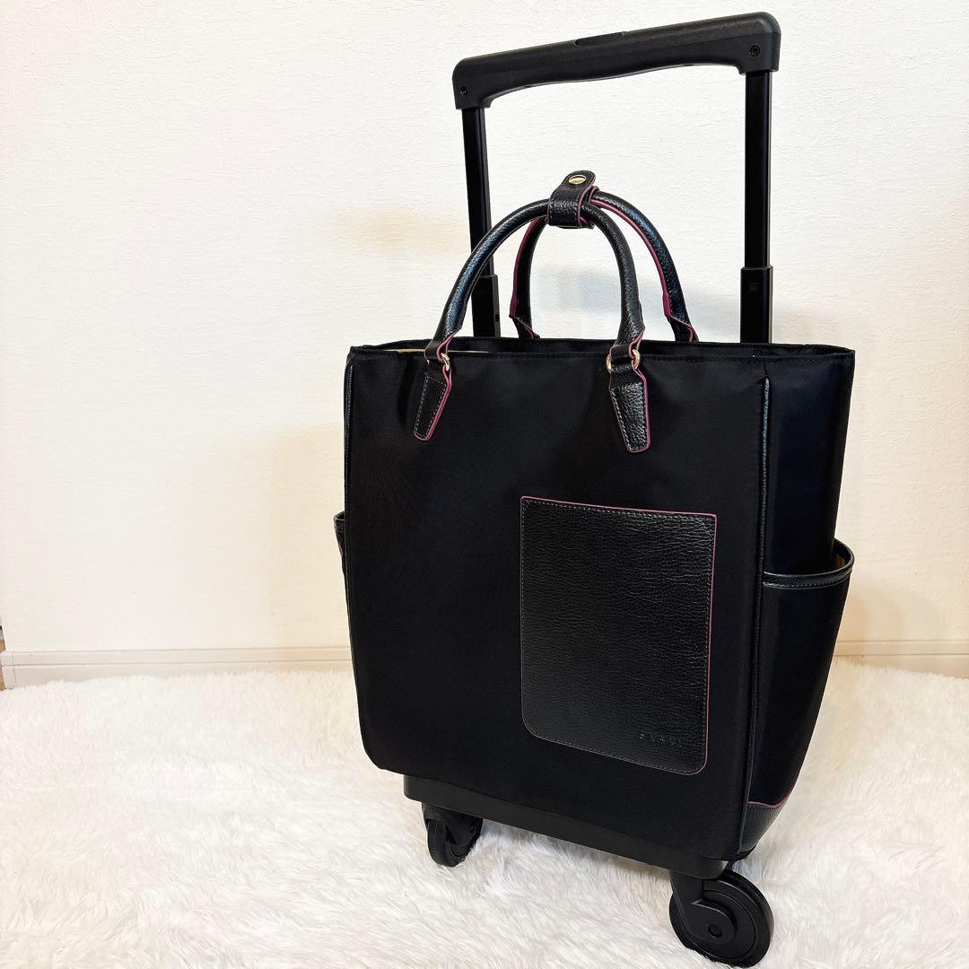 ✨極美品✨ スワニー キャリーバッグ D-598 リリーア ブラック 4輪