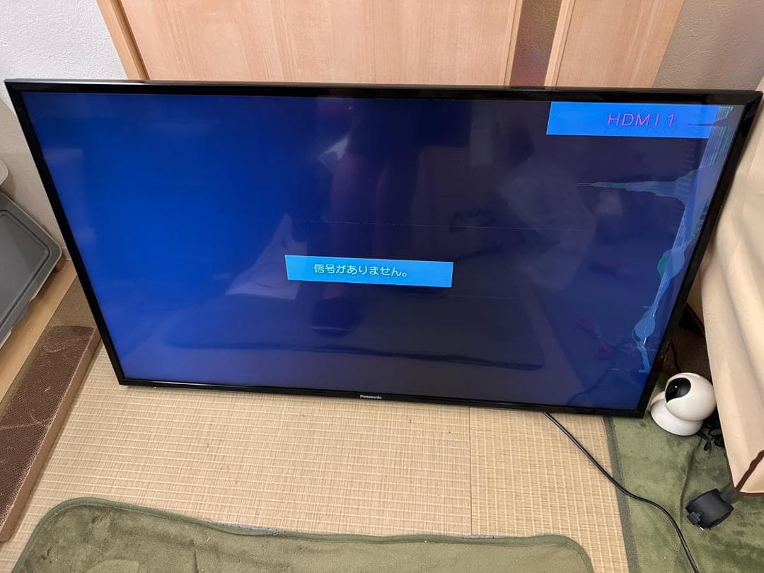 Panasonic　パナソニック 43型 液晶テレビ TH-43F300 液晶割