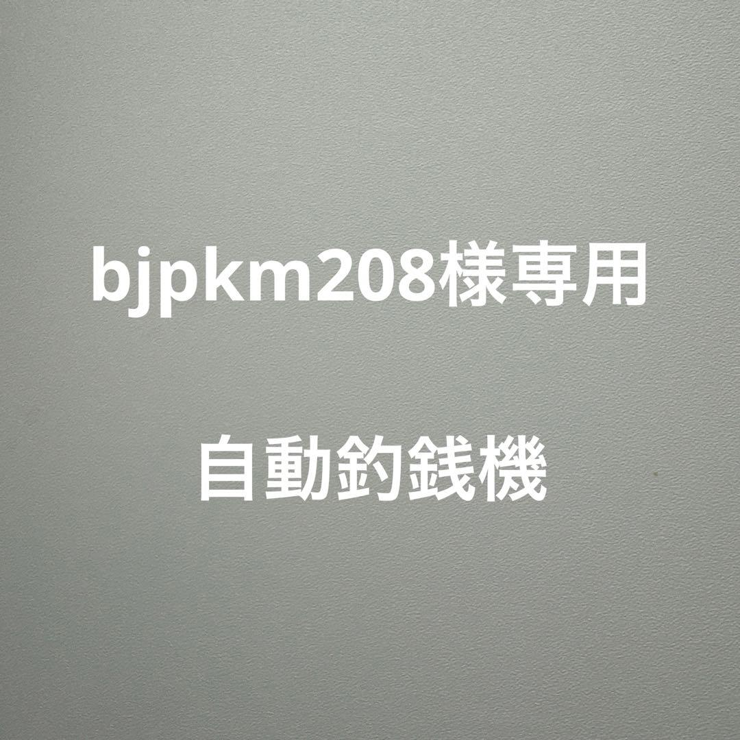 その他 bjpkm208