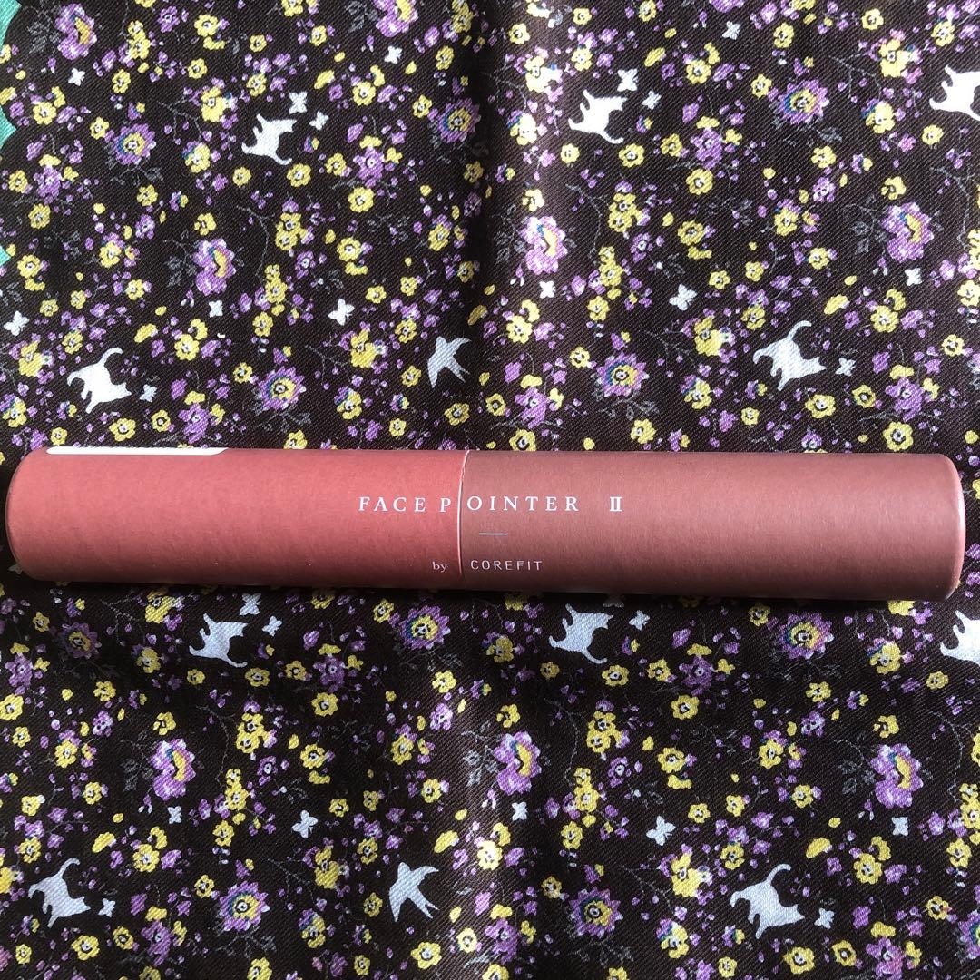 Face-Pointer Ⅱ フェイスポインター2