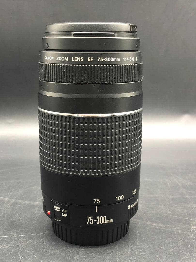 キャノン ZOOM LENS EF 75-300mm 1:4-5.6 Ⅲ レンズ