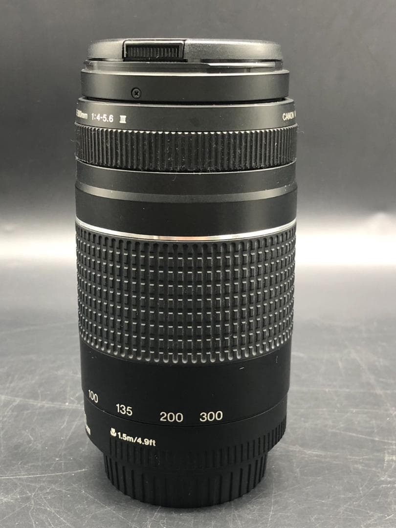 キャノン ZOOM LENS EF 75-300mm 1:4-5.6 Ⅲ レンズ
