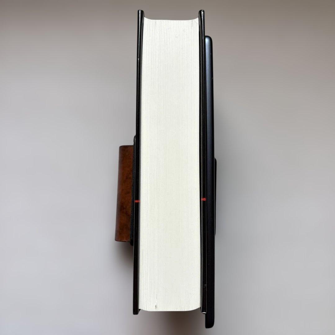 人文 Less Than Nothing: Hegel and the Shadow