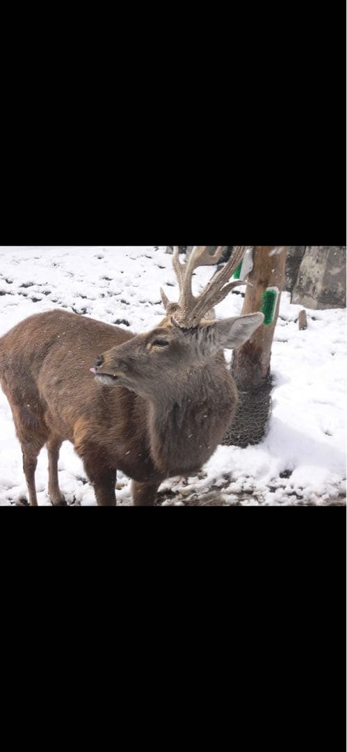 値引き中SDカード付き⭐︎Panasonic LUMIX DMC-FX7 シルバー