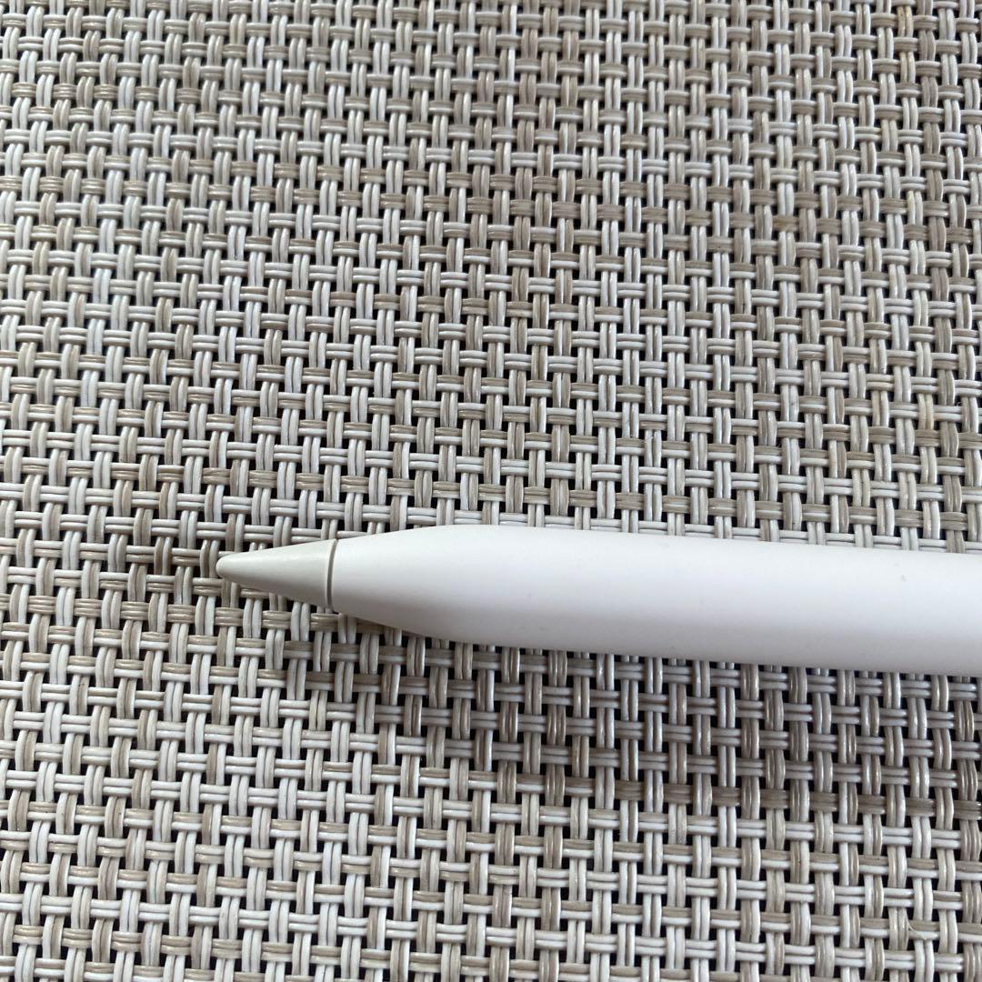 【ジャンク】 純正 Apple Pencil Pro アップルペンシルプロ