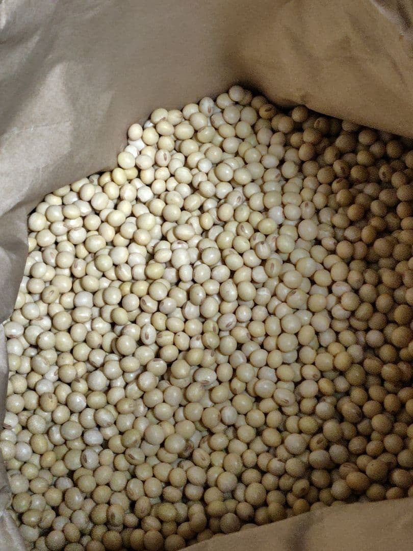 aki@cbv7年岐阜県産低農薬大豆フクユタカ15キロ