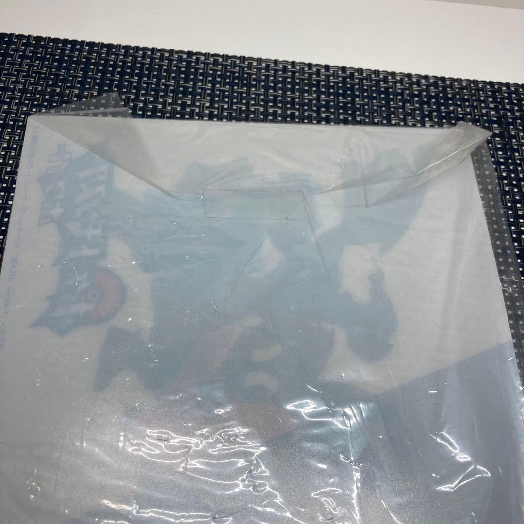 ポケットモンスター ブラック ホワイト 3D カード 下敷き a