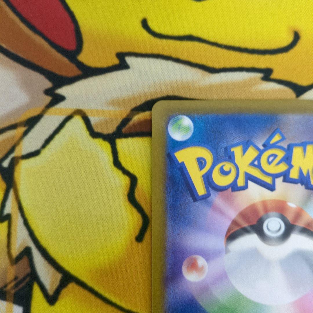 ルチアのアピール SAR 傷有り