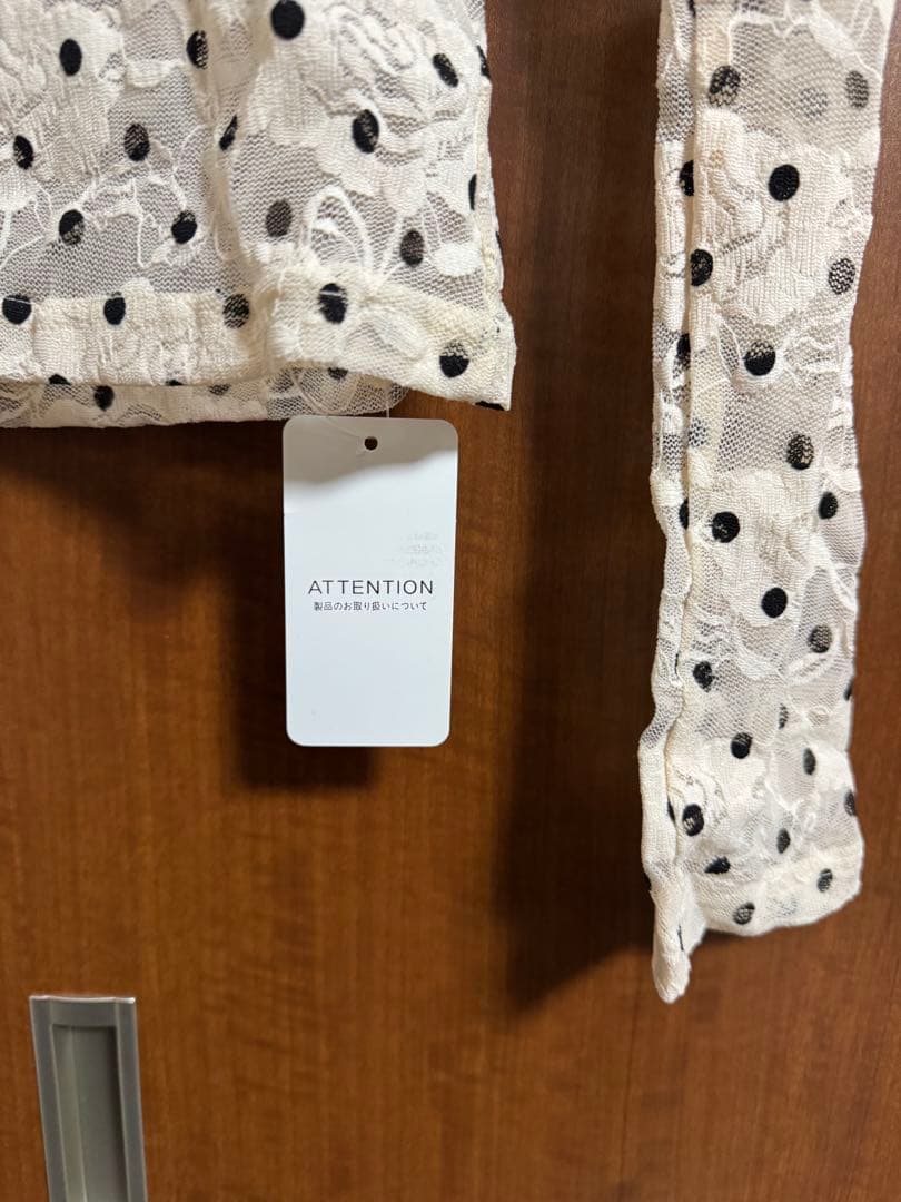 【タグ付き】POPPY あさぎーにょ ドット レース シースルートップ