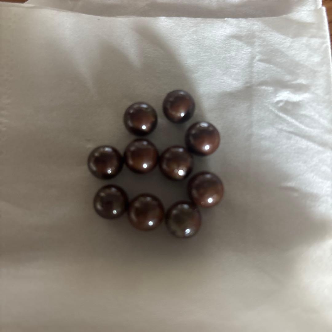 ワールドレップサービス　アースボール　10個