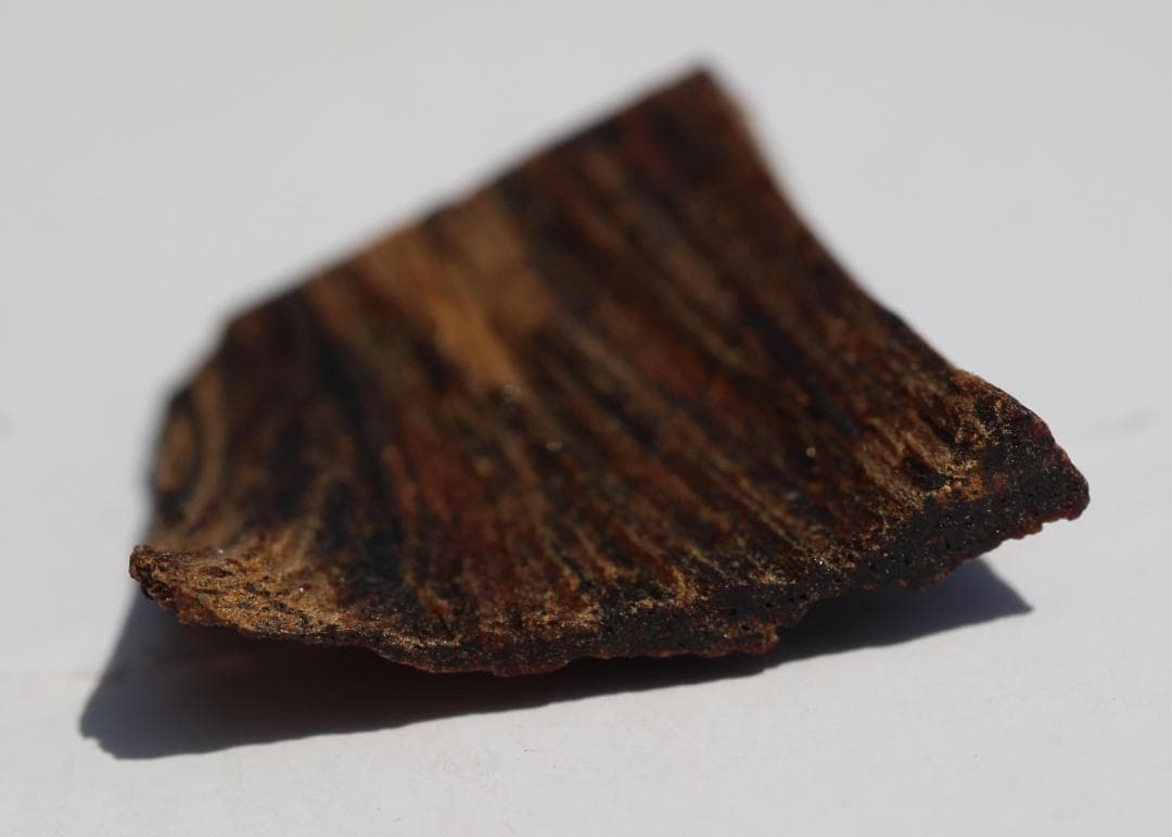 香木 古渡命銘木 「初音」小分け 約0.33g 沈香 奇南 伽羅