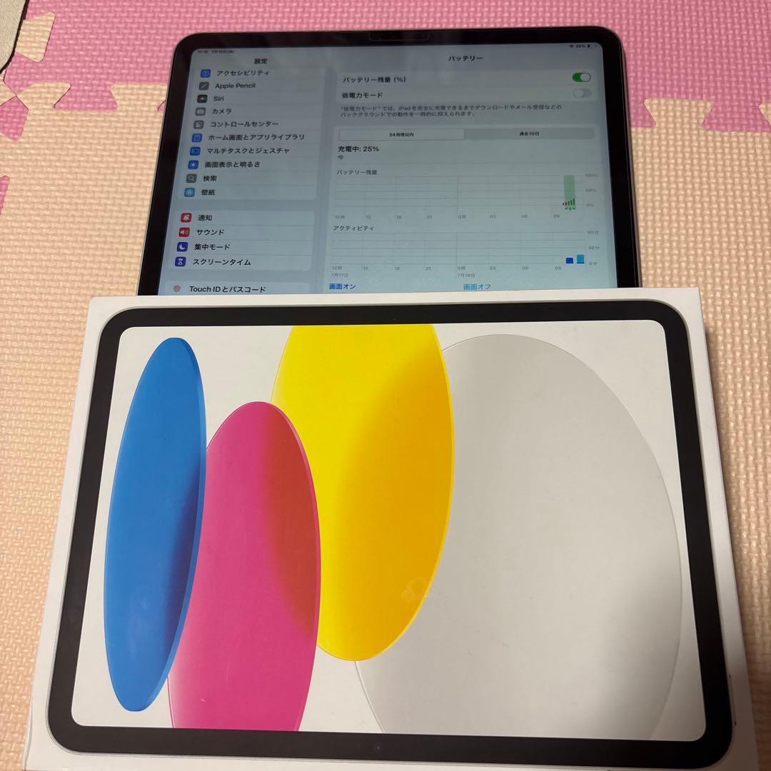 Apple iPad 第10世代 10.9インチ シルバー 256G本体