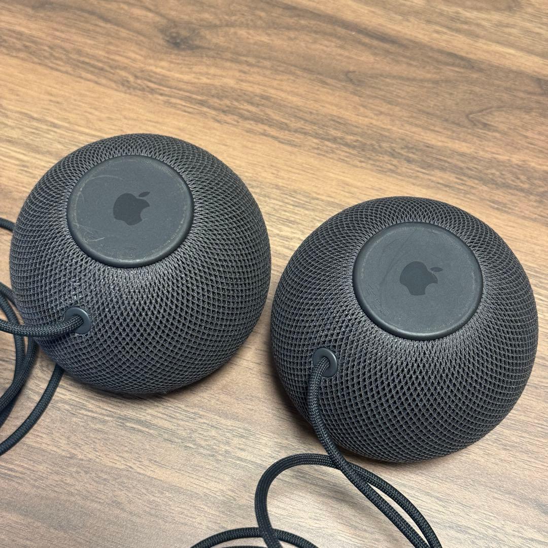 Apple Pod mini スペースグレイ 2個セット