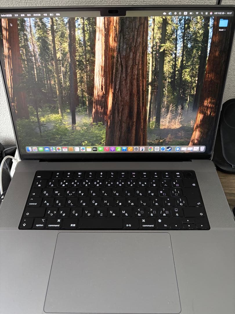 MacBook Pro 16″ (2021)M1 Pro 1TB