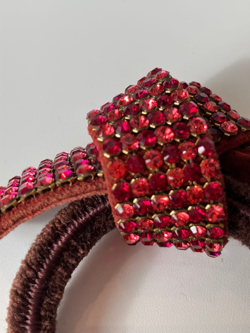 アッカ　オードリードレスポニー