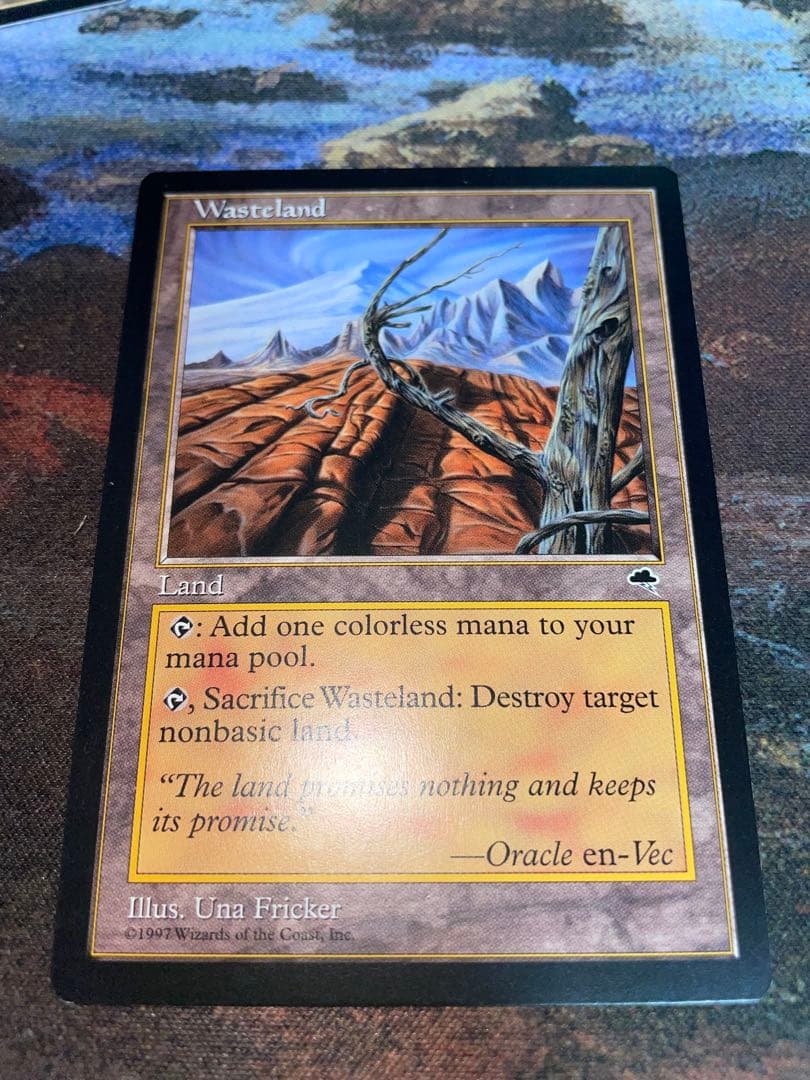 不毛の大地/Wasteland