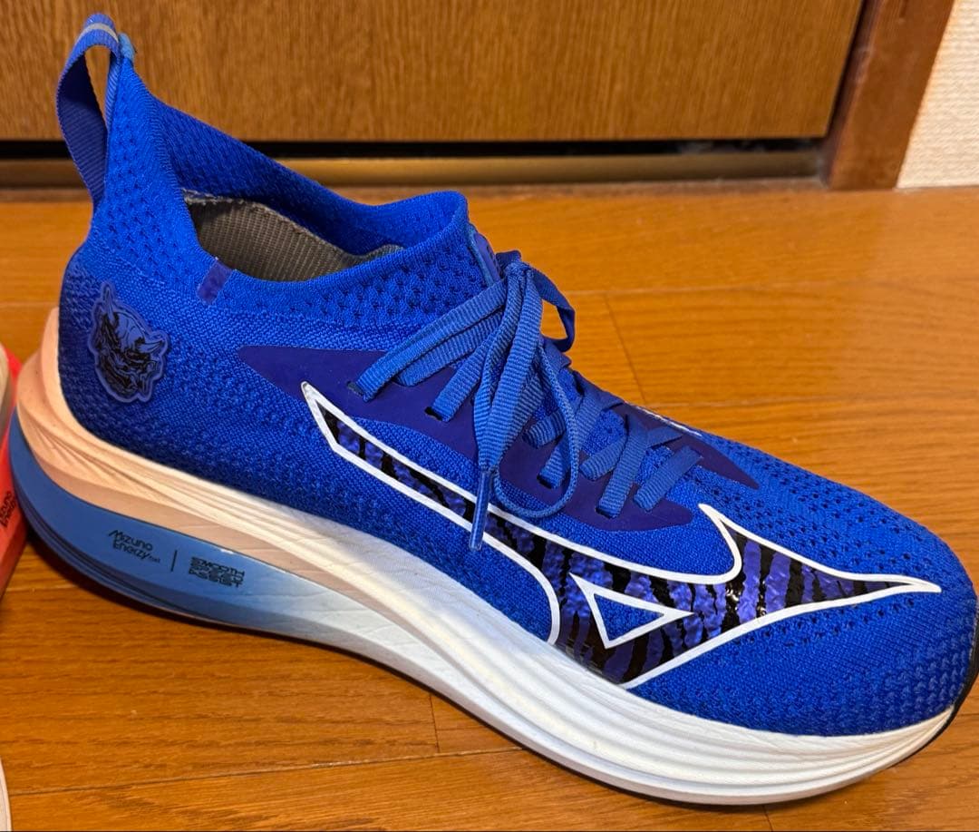 MIZUNO NEOZEN ミズノ ネオゼン ONIHAYAIパック 27センチ