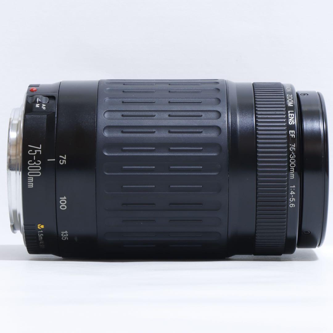 ◇大迫力300mm超望遠!!◇Canon純正 75-300mm 超望遠レンズ◇