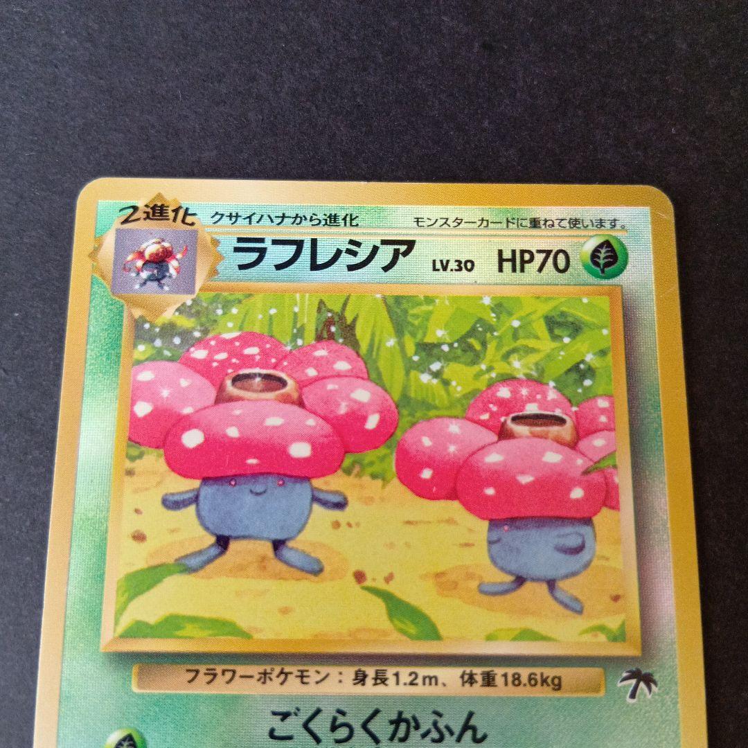 ポケモンカード旧裏　フシギバナ　ラフレシア