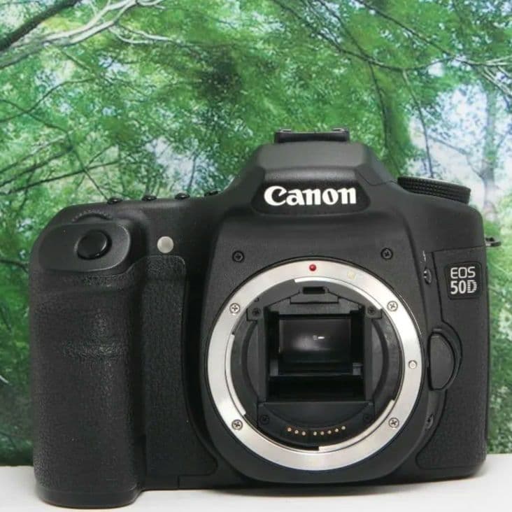 ❤美品♪canon EOS 50D♪高級ボディ!!スマホ転送&超高速連写❤