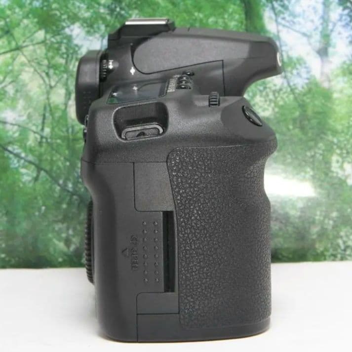 ❤美品♪canon EOS 50D♪高級ボディ!!スマホ転送&超高速連写❤