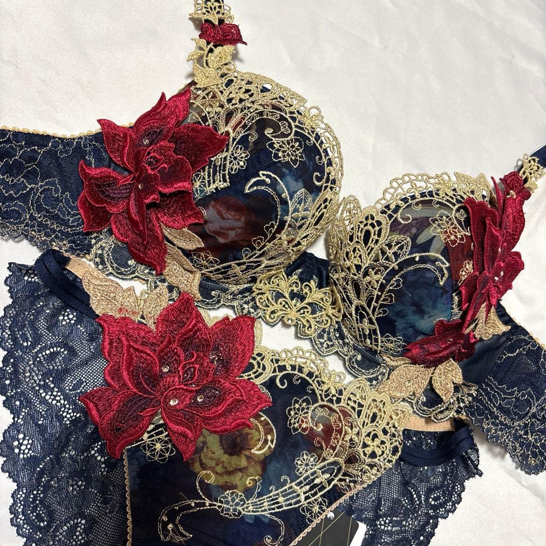 サルート90店舗限定　KOカラー　D70ショーツMセット