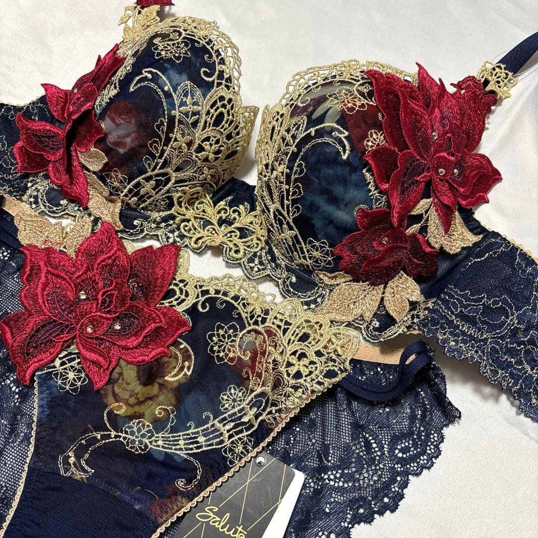 サルート90店舗限定　KOカラー　D70ショーツMセット