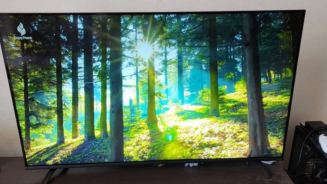 アイリスオーヤマ LUCA 4K対応液晶テレビ 49V型