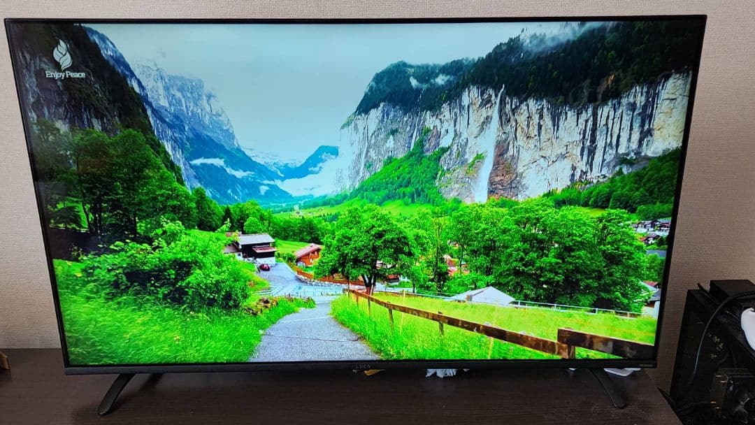 アイリスオーヤマ LUCA 4K対応液晶テレビ 49V型