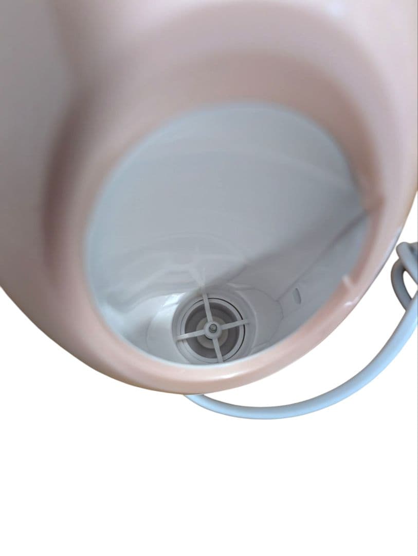 【未使用品】FESTINO Facial Moist Nano Steamer