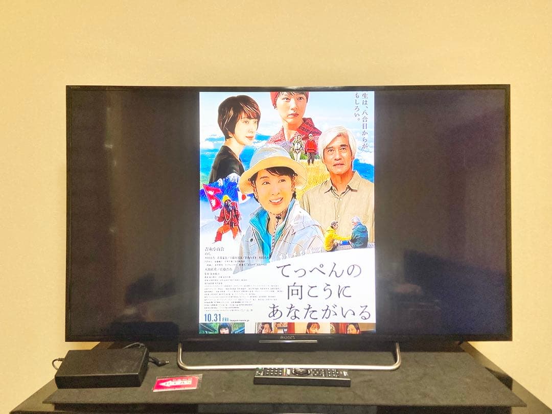 今だけ優待価格】 SONY BRAVIA 48V型フルHD YouTube対応