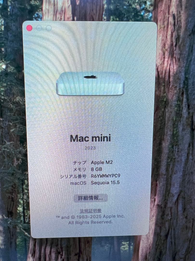 な*ー様 Mac mini M2 シルバー (2023) 8GB/256GB