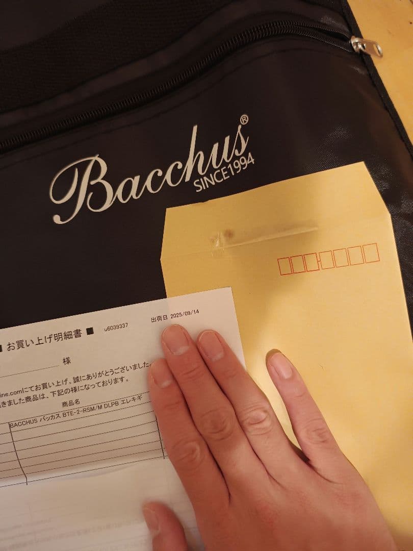 BACCHUS BTE-2-RSM/M DLPB テレキャスタータイプ