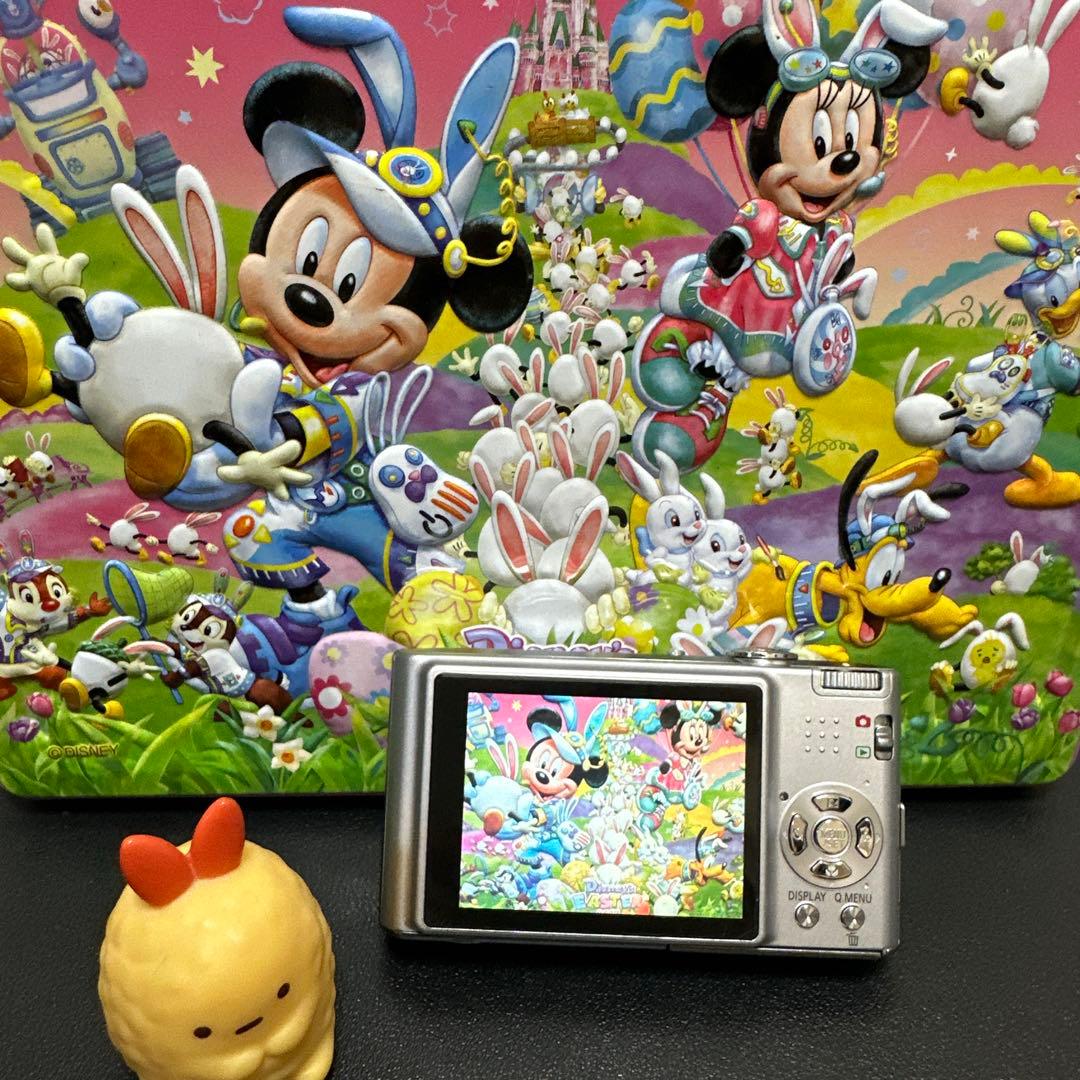 パナソニックPanasonic LUMIX DMC-FX35 動作品　中古良品