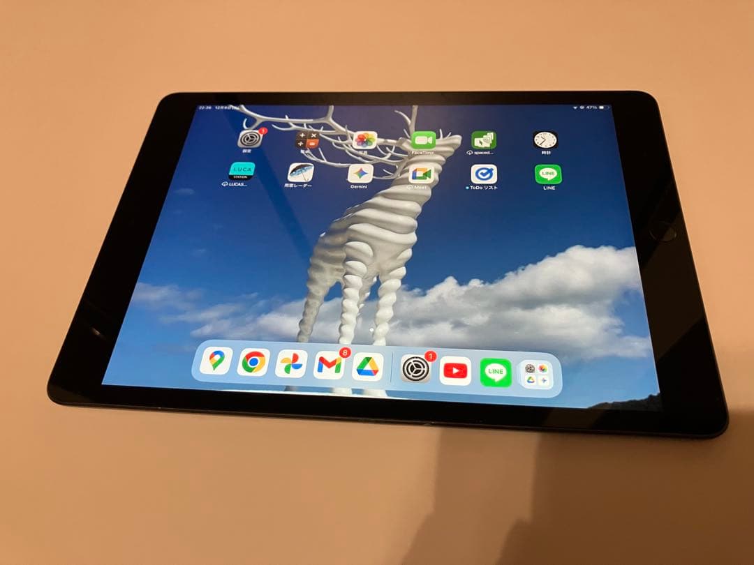 iPad (第8世代) A2270 スペースグレー 10.2インチ　カメラ故障