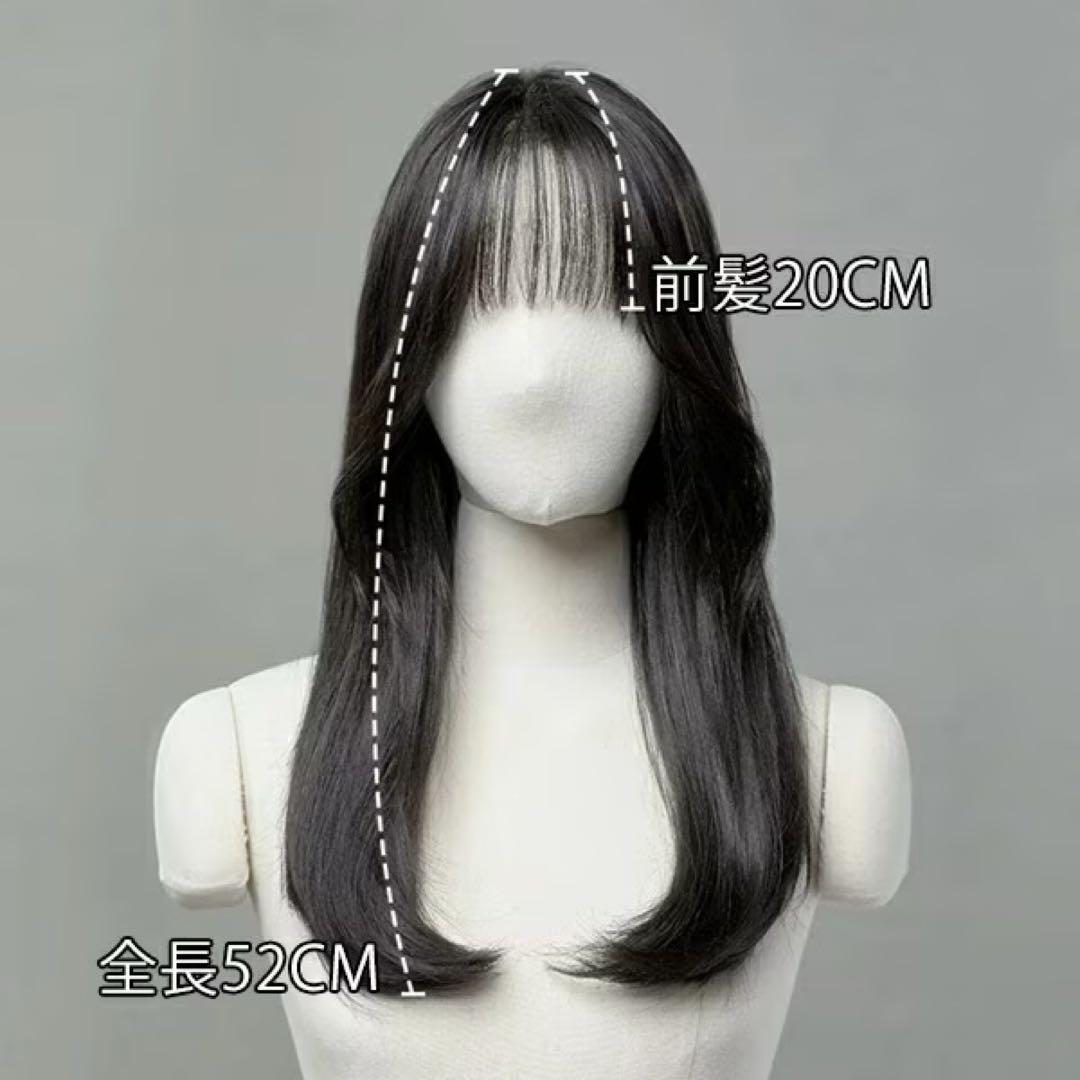 ピンクエイジ 手植えフルウィッグ マルス ストレート ナチュラルブラック