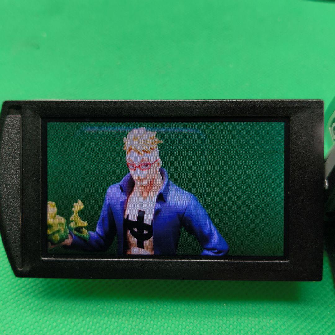 【動作確認済】SONY ソニーHDR-CX500V Handycam