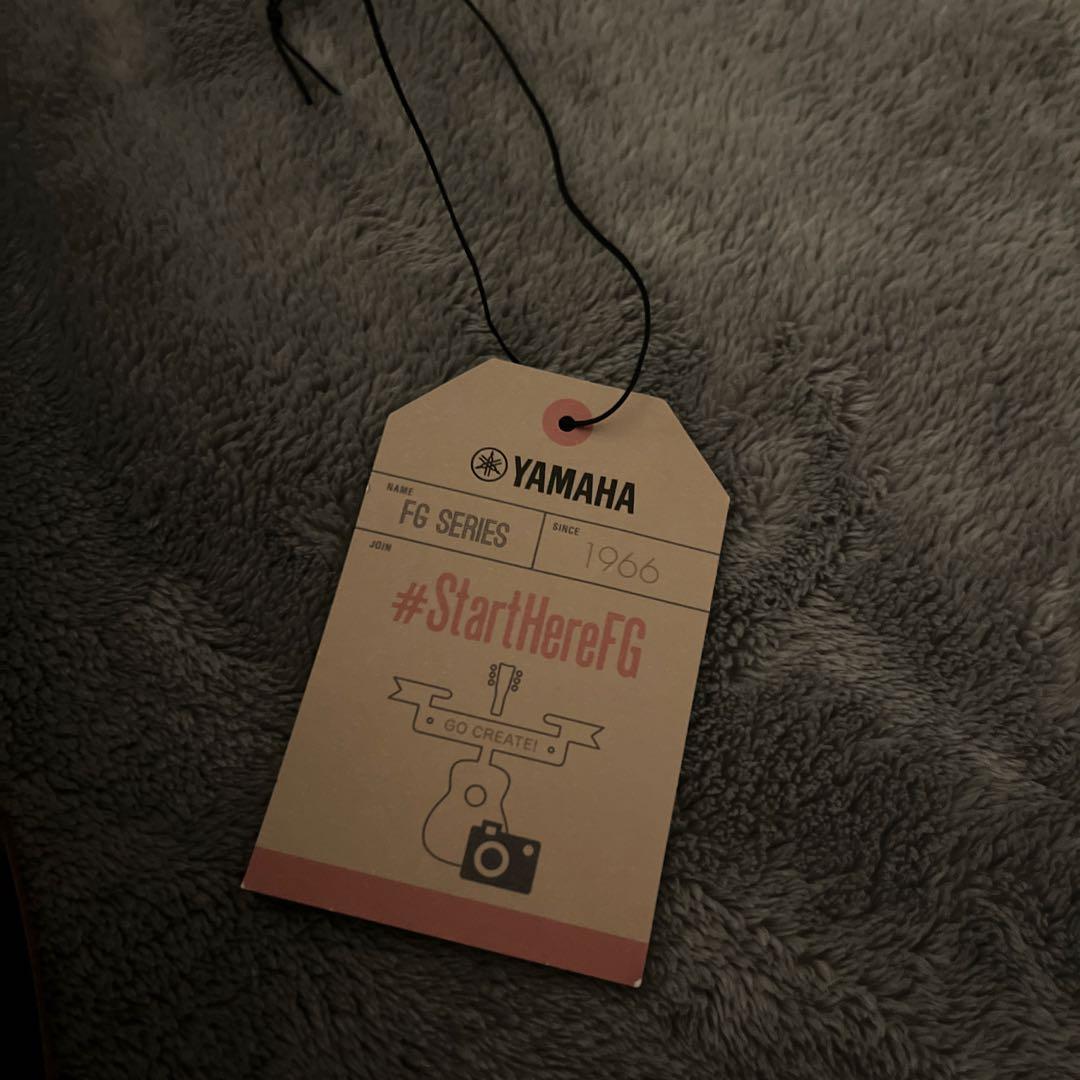 YAMAHA エレアコ　FSX825C ターコイズ