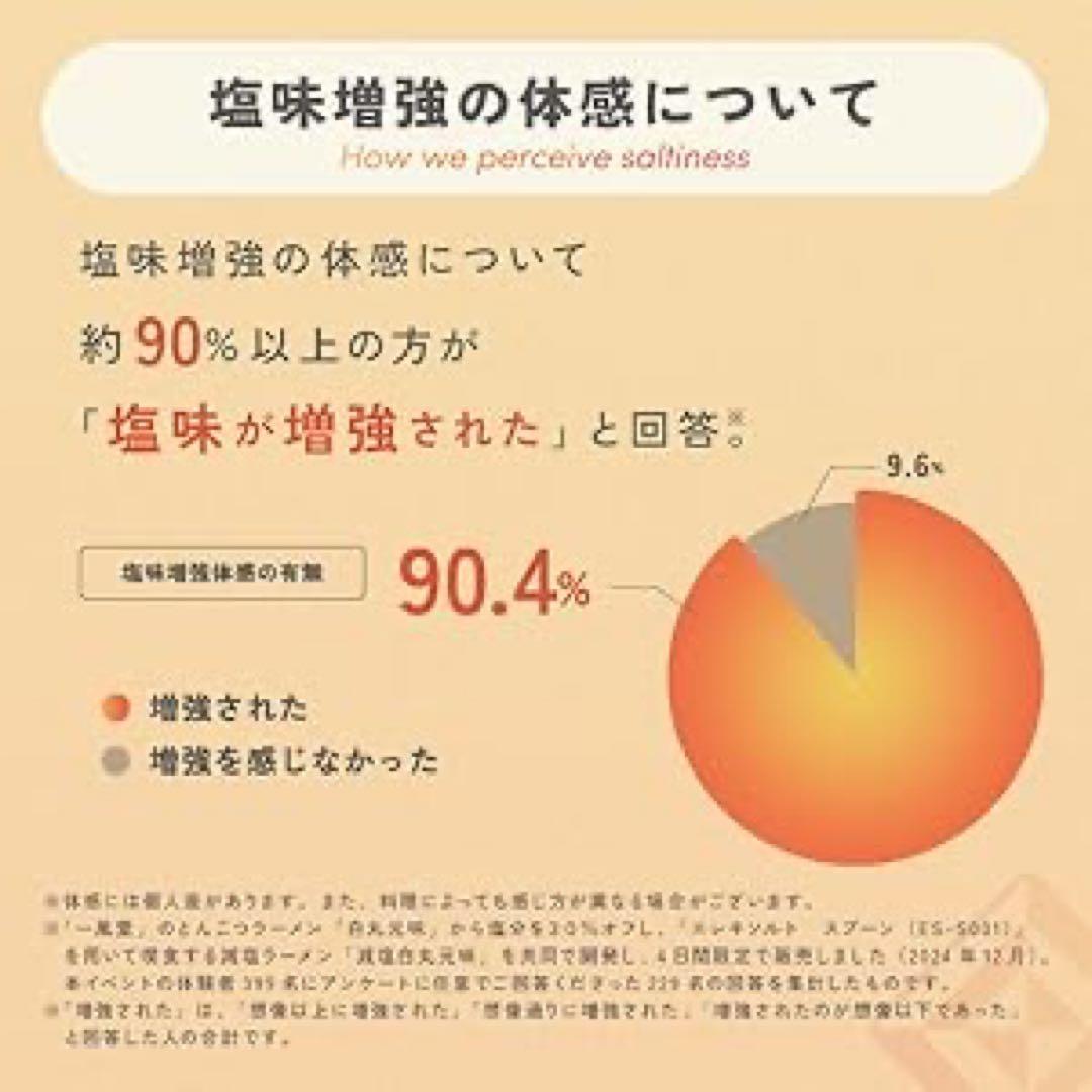 KIRIN キリン エレキソルト スプーン ES-S002 減塩 ホワイトグレー