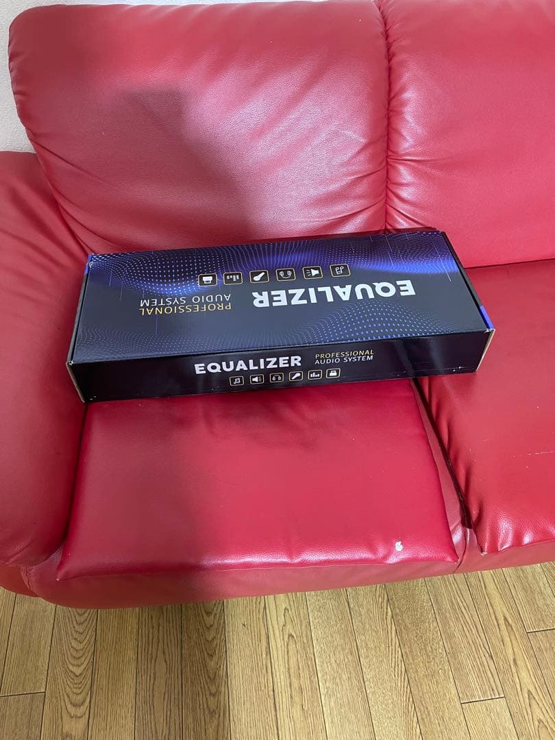 EQUALIZER PROFESSIONAL AUDIO SYSTEM 本体