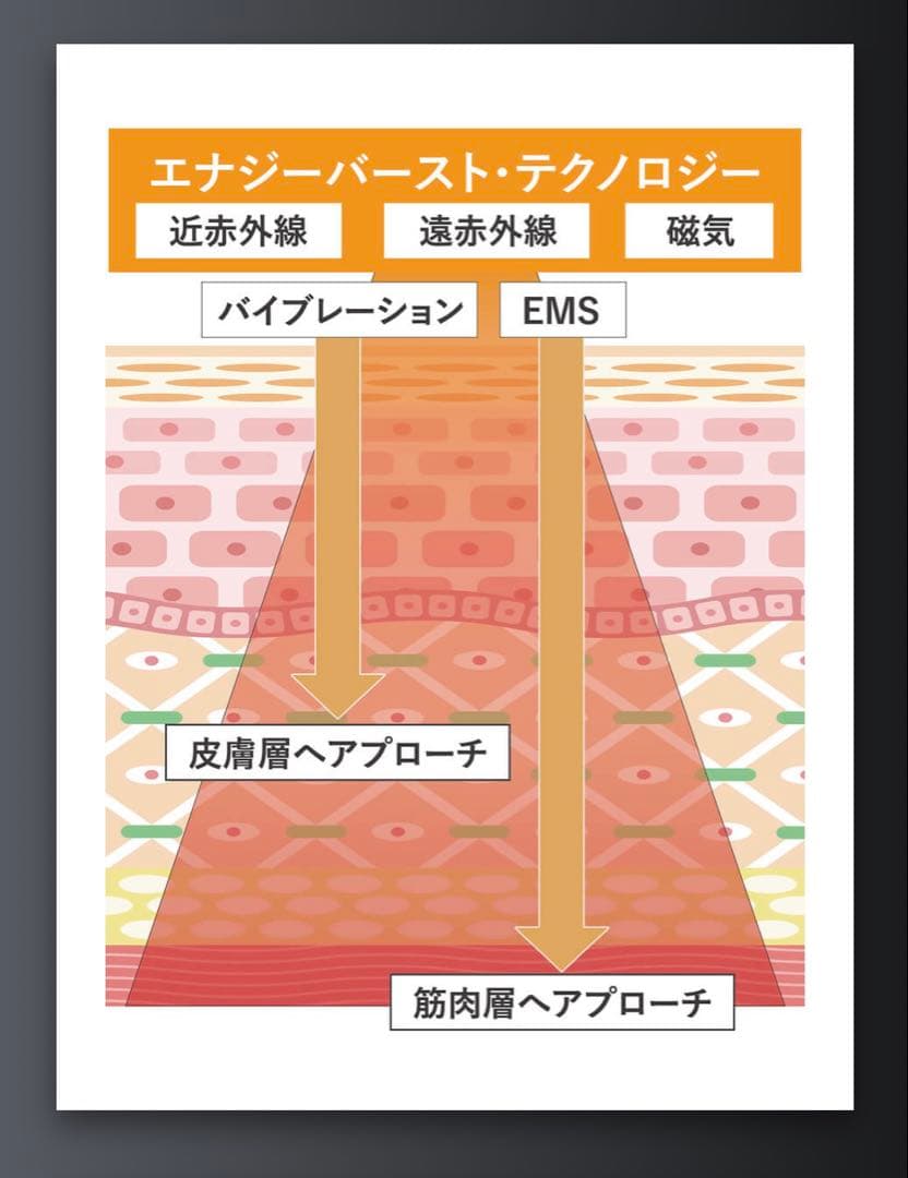 イングレイス　フロースペクト　INGRACE　flowspect　磁気美容器