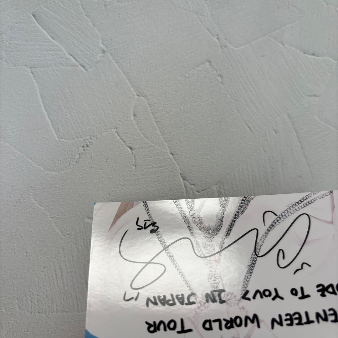 SEVENTEEN☆ローソンプリント ウォヌ 11枚セット